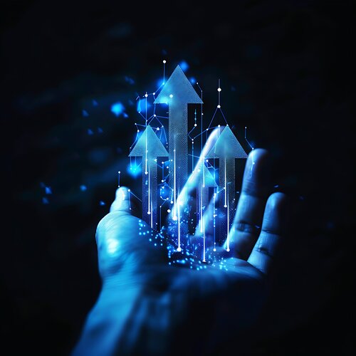 Optimización Microempresas